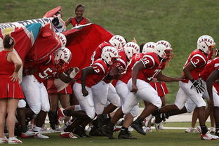 mk体育电竞-印度继续保持连胜,主帅称尚未满足,印度21人对战数万人