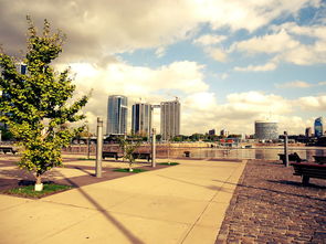 mk体育下载-圭亚那国际森林跑步节吸引远方跑者,圭亚那旅游