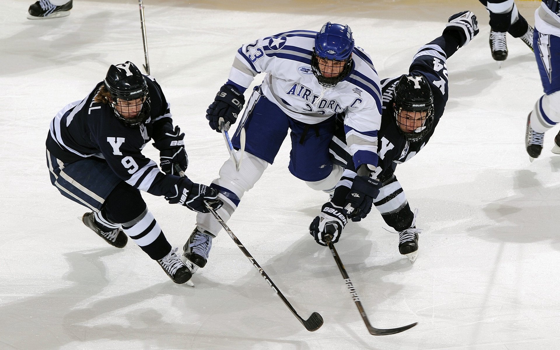 mk体育下载-圭亚那国际森林跑步节吸引远方跑者,圭亚那旅游