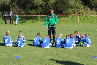 MK手机客户端-天津津门虎残阵抗衡山东泰山,末轮为阻击上海申花留力,天津津门虎最新赛程
